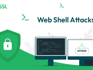 Memahami Cara Kerja, Fungsi, dan Bahaya Web Shell